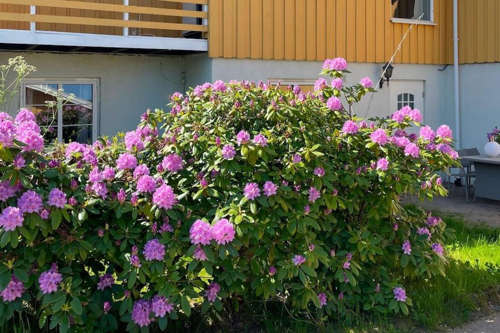 Cosy And Well-Equipped Apartment With Free Parking Trondheim Exterior foto